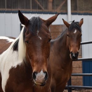 Meet your Posher, Jack